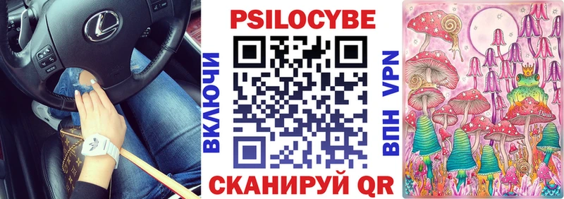 дарнет шоп  Белёв  Псилоцибиновые грибы Psilocybine cubensis 